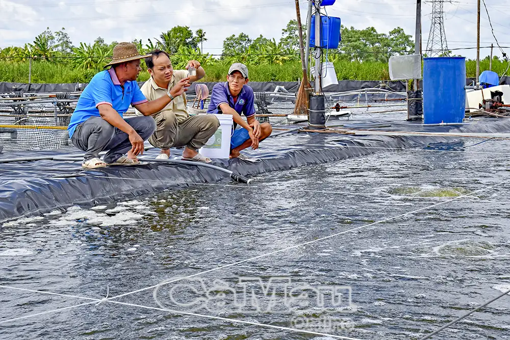 Thúc đẩy tăng trưởng từ nông nghiệp công nghệ cao