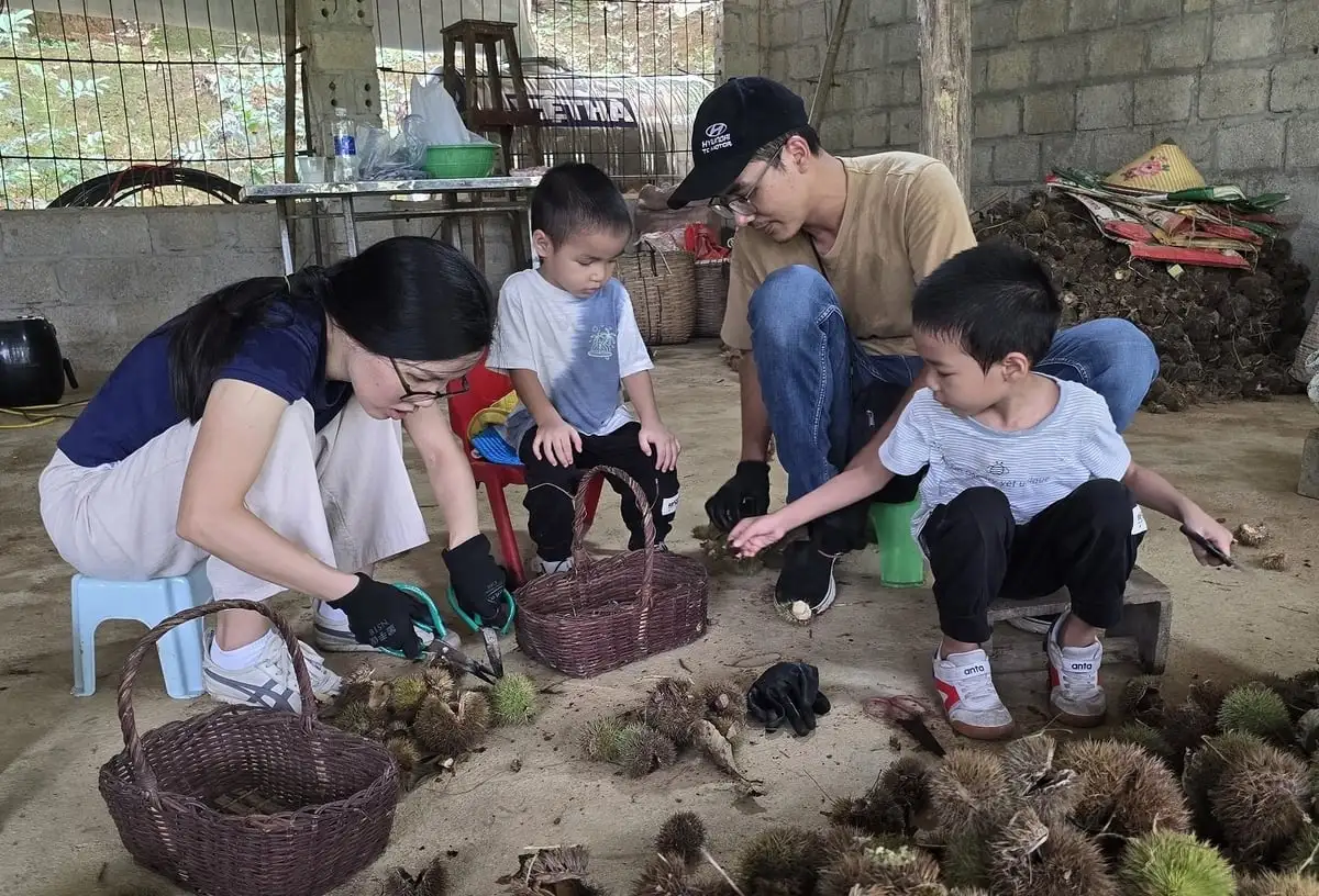 Thương hiệu hạt dẻ từ đồi xanh