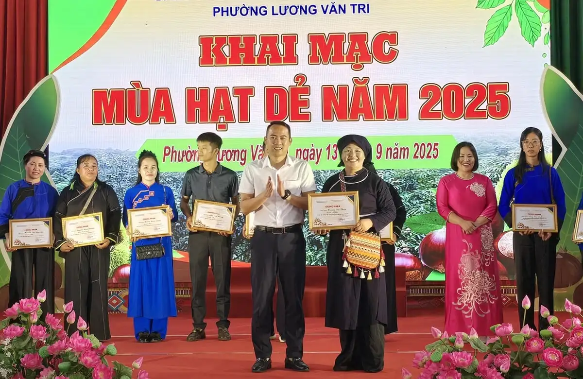 Thương hiệu hạt dẻ từ đồi xanh