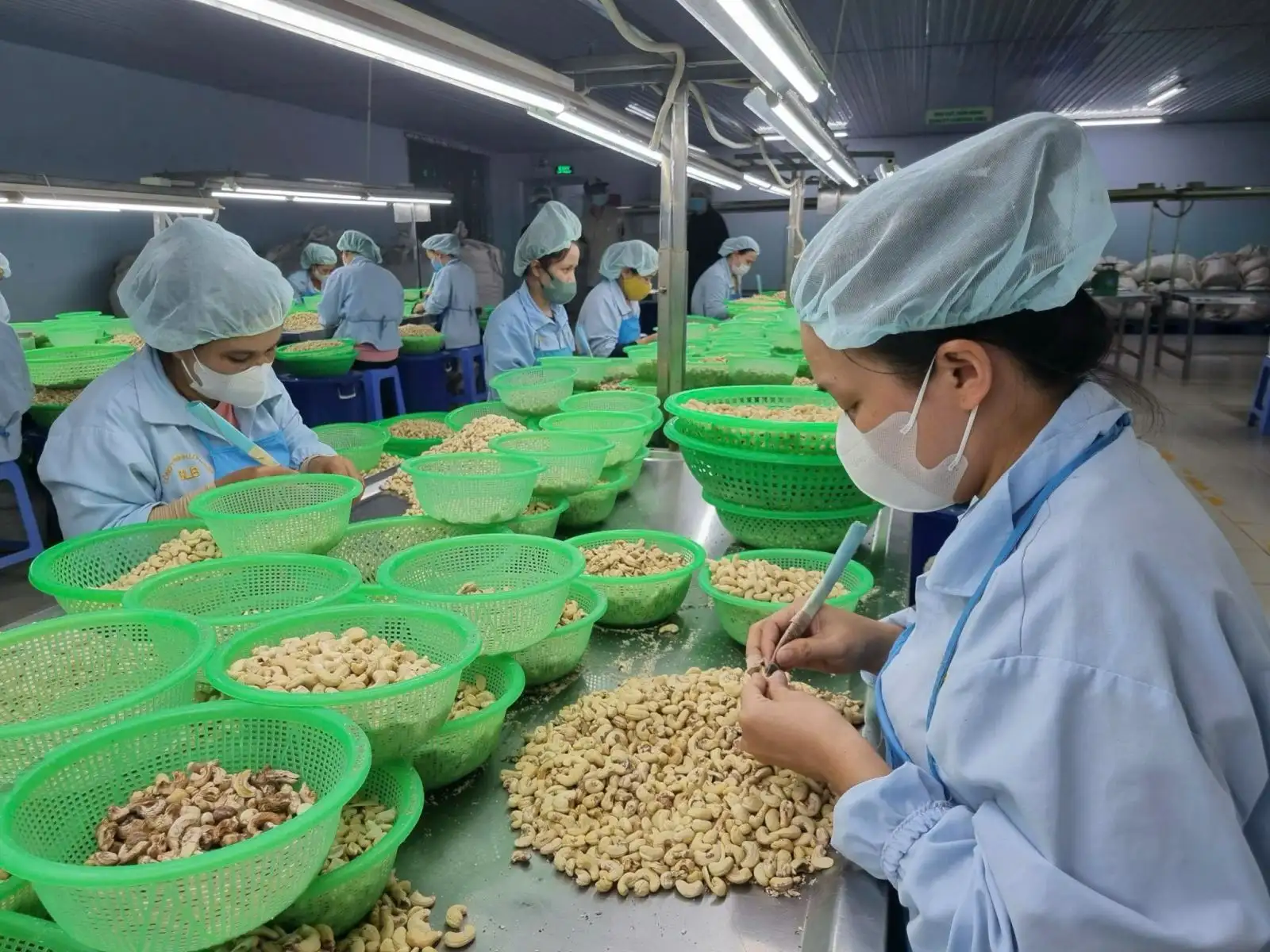 Thương hiệu Việt trước cơ hội và thách thức trong kỷ nguyên số