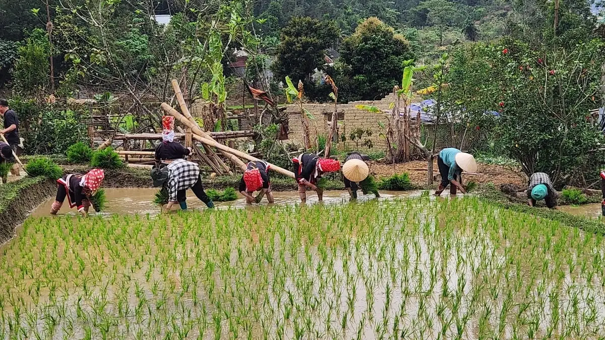 Thủy lợi Quảng Ninh: Từ cấp thiết nâng cấp đến mục tiêu dài hạn