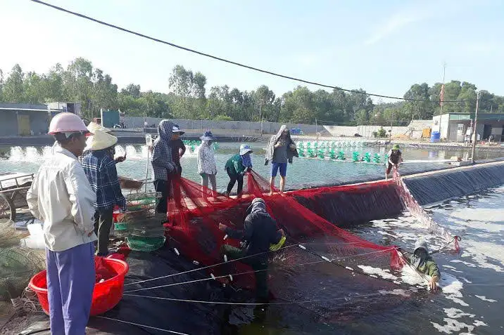 Tín dụng chính sách &#8211; &#8216;Công cụ&#8217; đắc lực đảm bảo an sinh xã hội ở Nghệ An