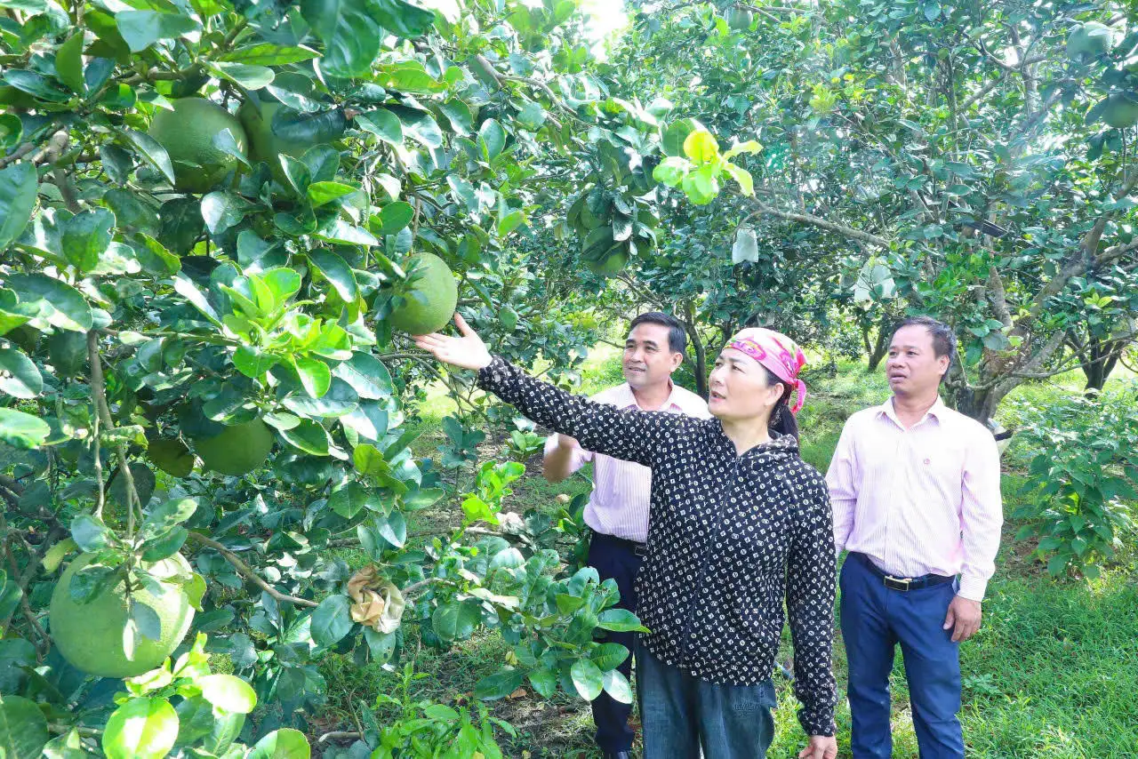 Tín dụng chính sách – ‘Công cụ’ đắc lực đảm bảo an sinh xã hội ở Nghệ An