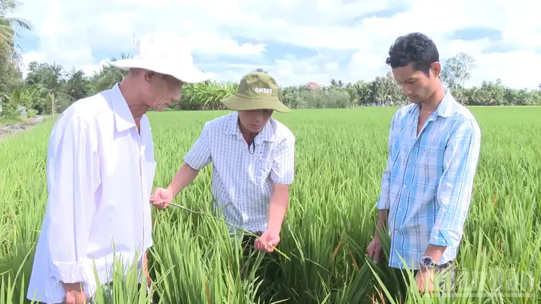 Tổ khuyến nông cộng đồng, “điểm tựa của nhà nông”