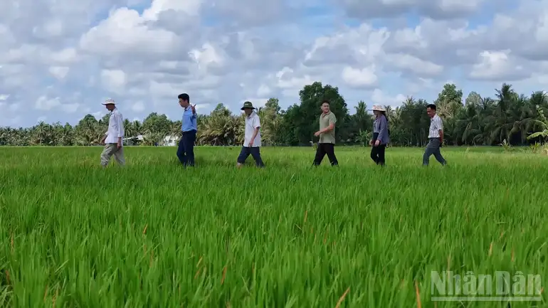 Tổ khuyến nông cộng đồng, “điểm tựa của nhà nông”