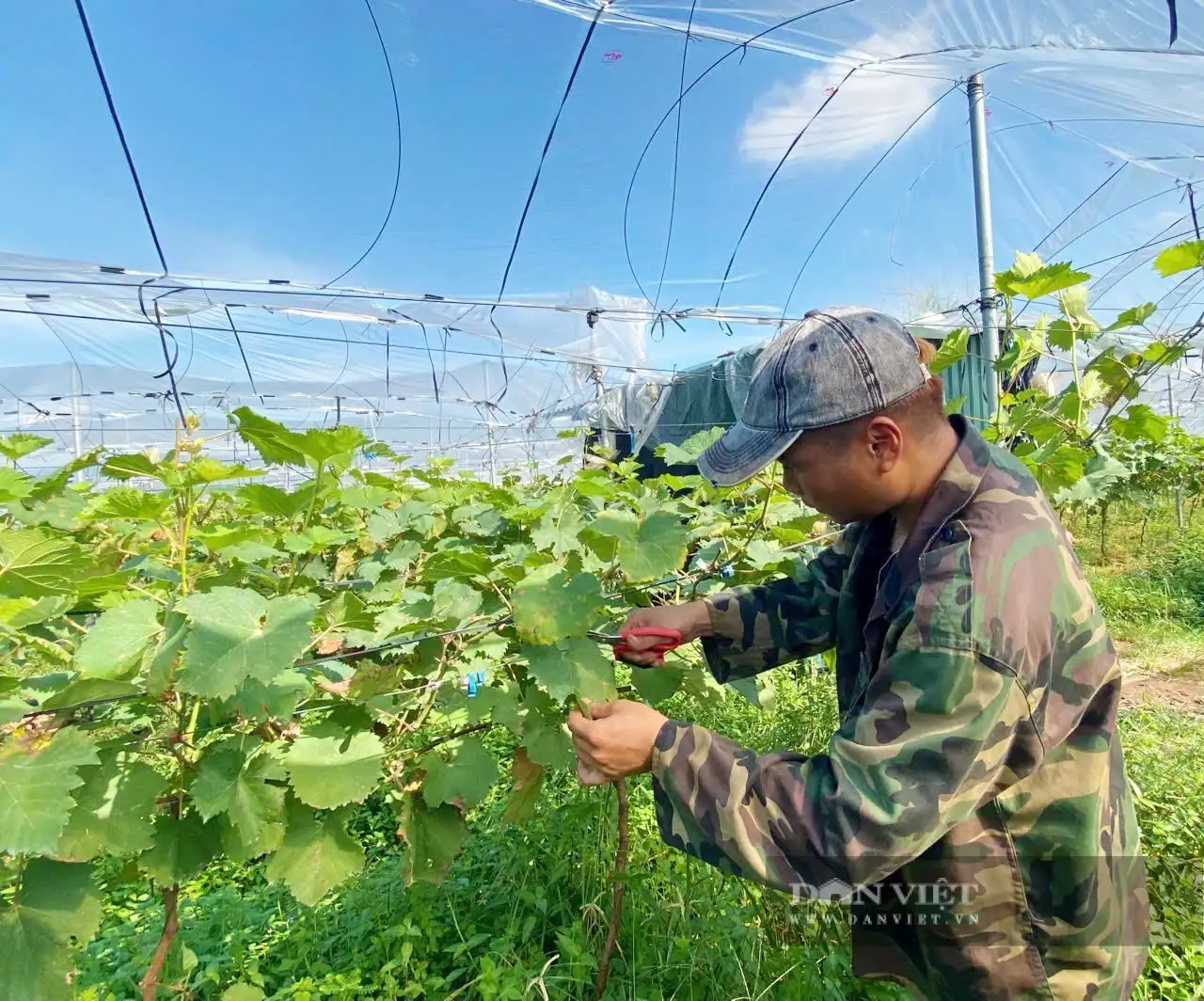 Trồng cây ra quả ngon, nuôi con vật lạ mắt ở trang trại đẹp như phim, trai &#8220;mắt kiếng&#8221; khiến cả làng phục lăn
