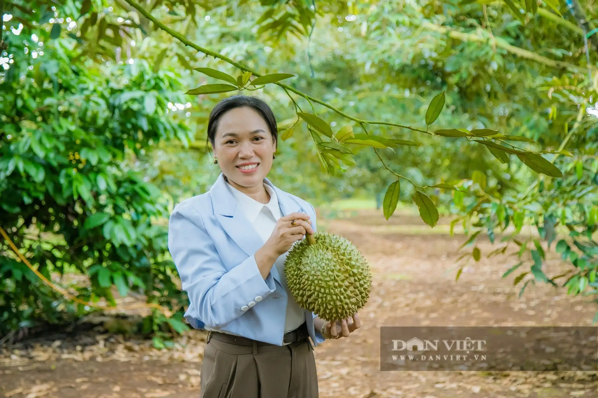 Trồng &#8220;cây tỷ đô&#8221;, một bà giám đốc nông dân Đắk Lắk cầm hàng chục tỷ/năm, cả làng ai cũng khen