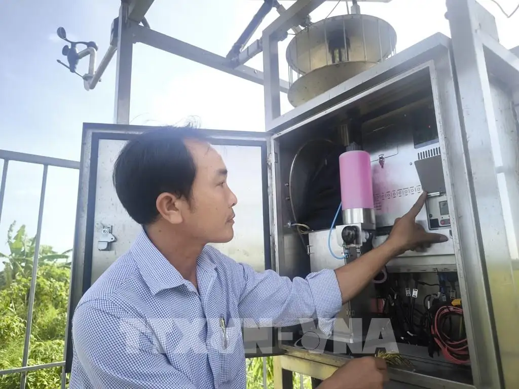 Trồng lúa thông minh ở tỉnh Vĩnh Long (sau sáp nhập), kiểu trồng lúa mới lạ, ruộng nào cũng tốt, nhà nào cũng ưng