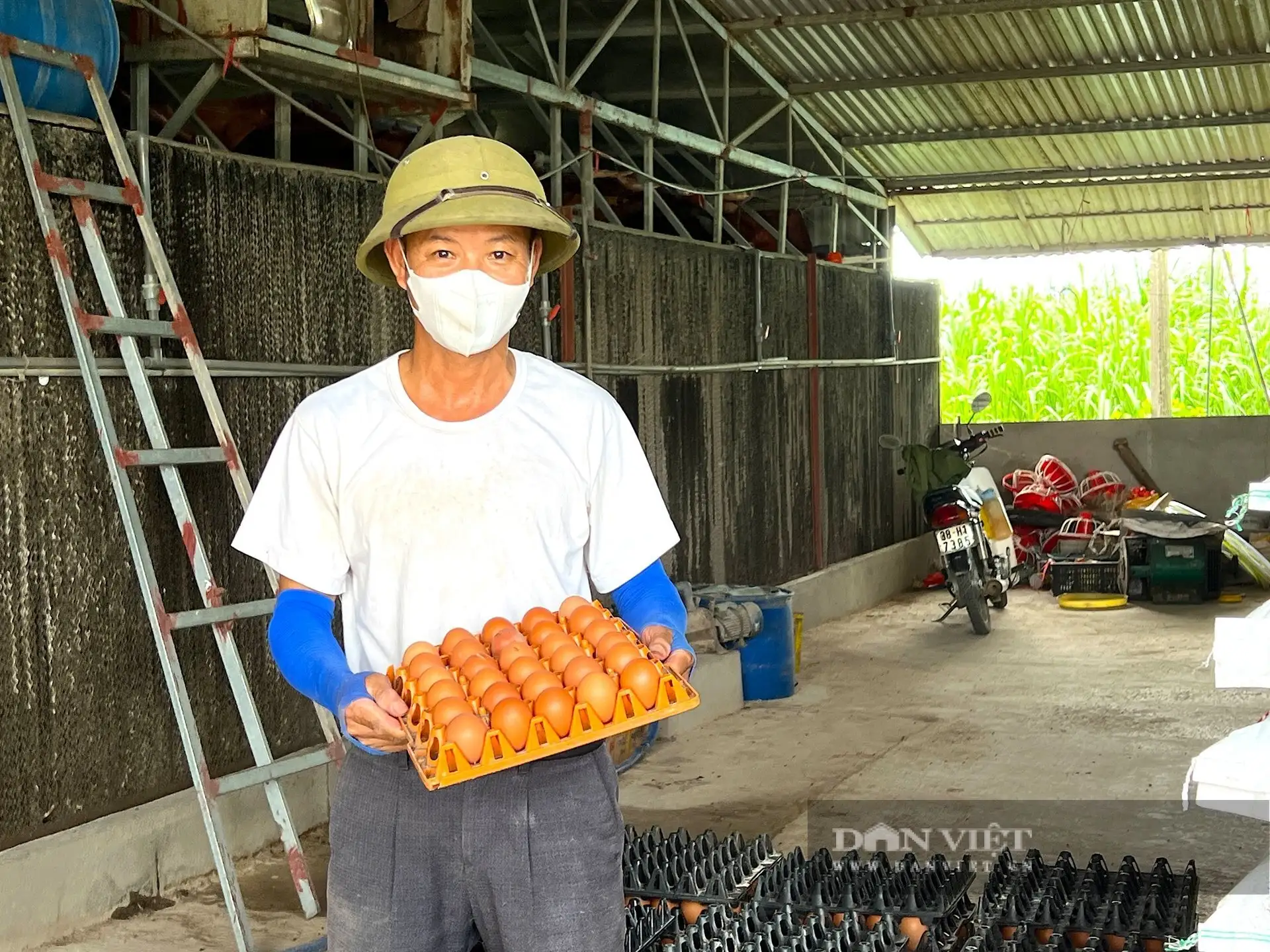 Trứng gà bất ngờ tăng giá &#8220;cái vù&#8221;, nông dân, HTX nuôi gà đẻ ở Hà Tĩnh thở phào nhẹ nhõm sau thời gian &#8220;bí bách&#8221;