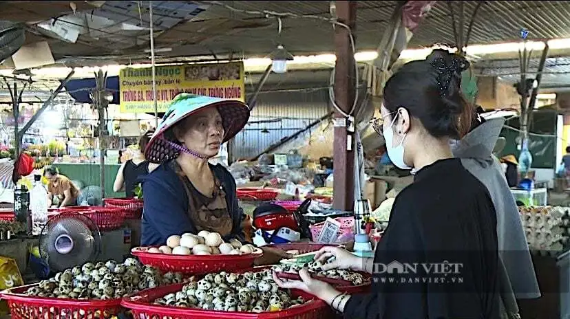 Trứng gà bất ngờ tăng giá &#8220;cái vù&#8221;, nông dân, HTX nuôi gà đẻ ở Hà Tĩnh thở phào nhẹ nhõm sau thời gian &#8220;bí bách&#8221;
