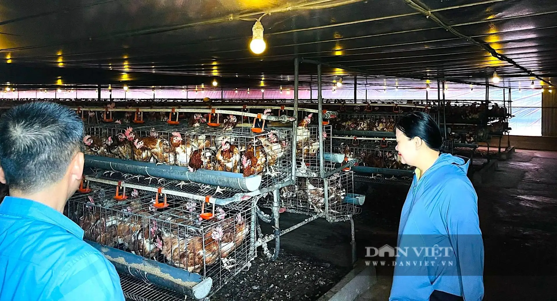 Trứng gà bất ngờ tăng giá &#8220;cái vù&#8221;, nông dân, HTX nuôi gà đẻ ở Hà Tĩnh thở phào nhẹ nhõm sau thời gian &#8220;bí bách&#8221;