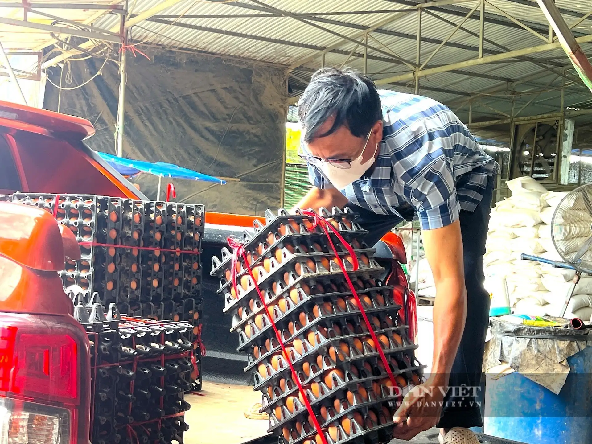 Trứng gà bất ngờ tăng giá &#8220;cái vù&#8221;, nông dân, HTX nuôi gà đẻ ở Hà Tĩnh thở phào nhẹ nhõm sau thời gian &#8220;bí bách&#8221;