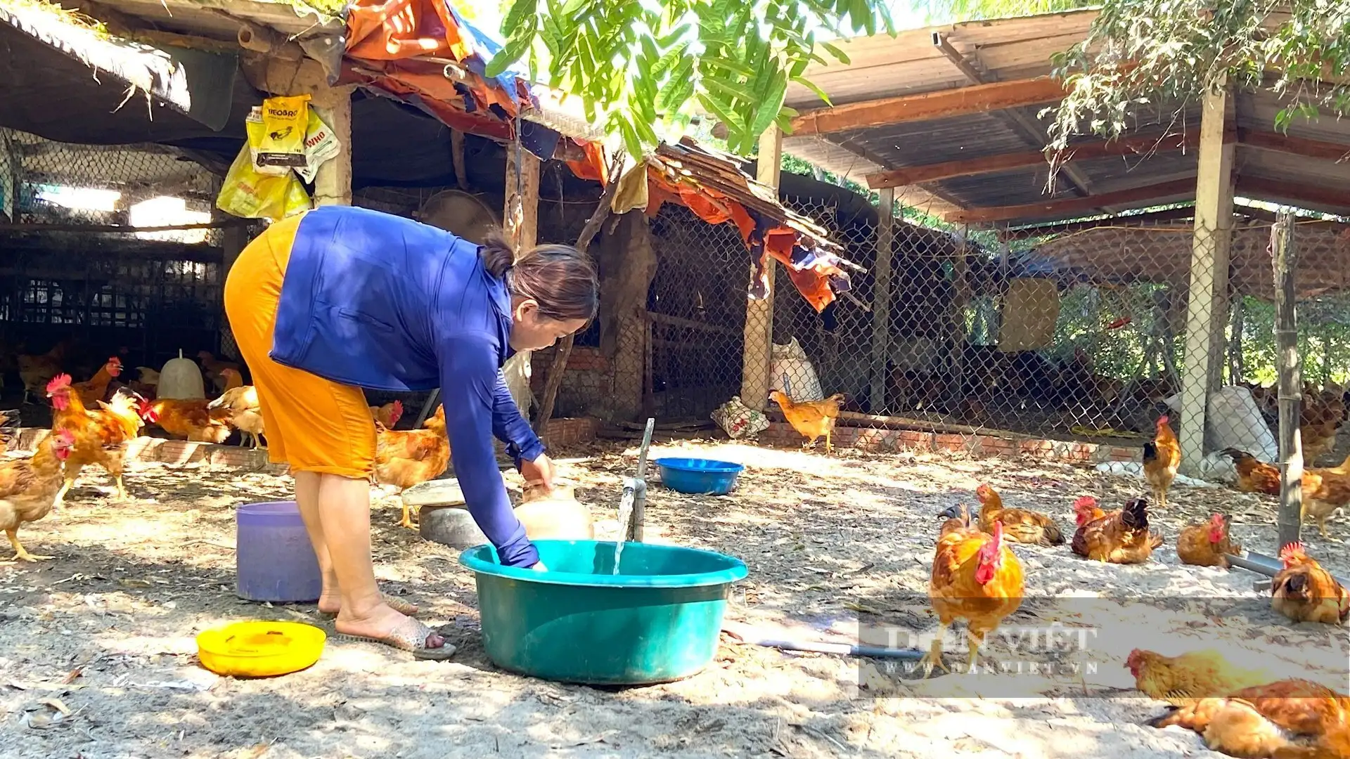 Trứng gà bất ngờ tăng giá &#8220;cái vù&#8221;, nông dân, HTX nuôi gà đẻ ở Hà Tĩnh thở phào nhẹ nhõm sau thời gian &#8220;bí bách&#8221;