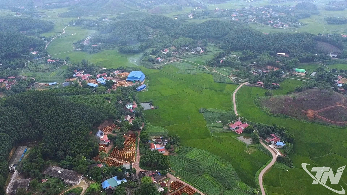 Từ nông nghiệp công nghệ cao đến nông nghiệp xanh bền vững