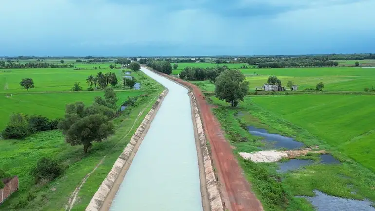Từng bước định hình lúa gạo “thân thiện” môi trường