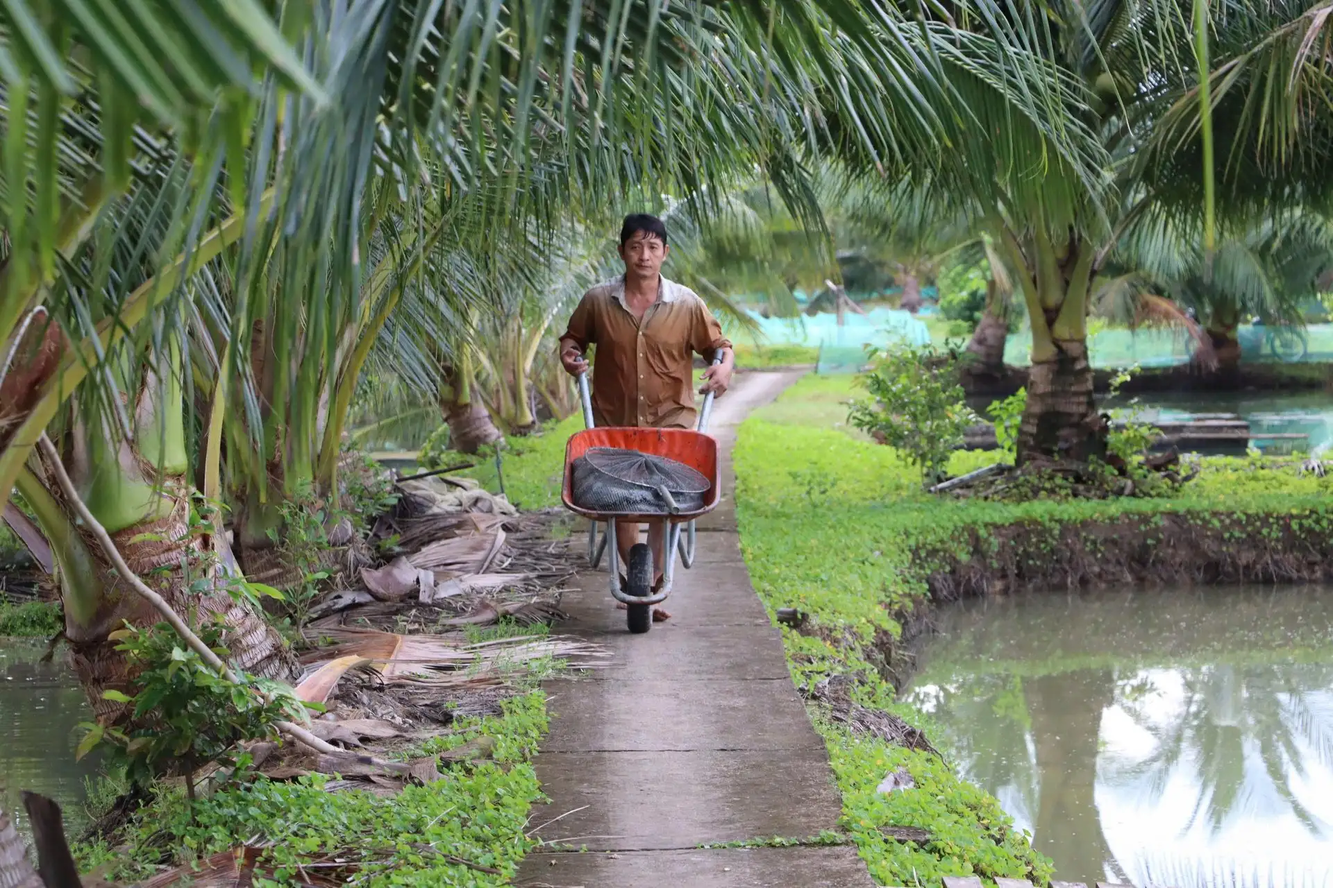 Tỷ phú nuôi cá chình ở Cà Mau được đề cử nhận Bằng khen của Thủ tướng Chính phủ