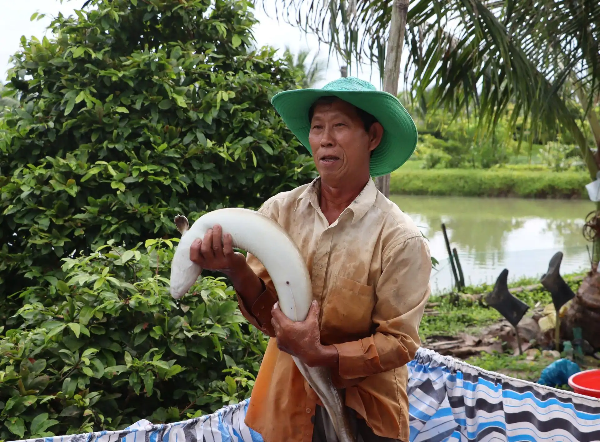 Tỷ phú nuôi cá chình ở Cà Mau được đề cử nhận Bằng khen của Thủ tướng Chính phủ