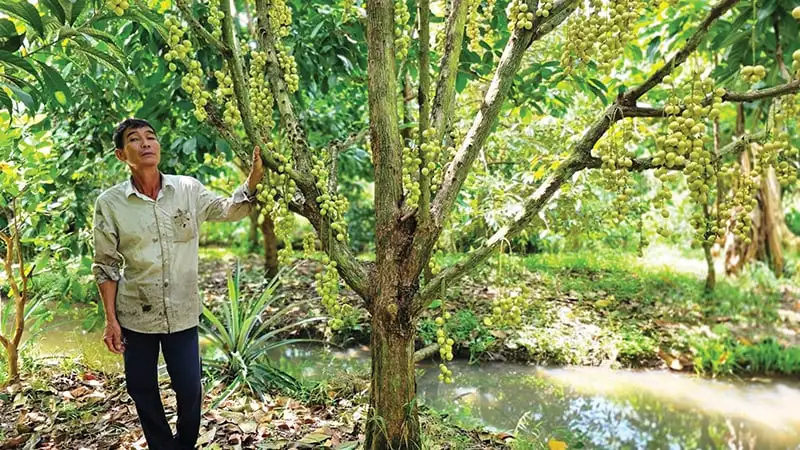 Tỷ phú nuôi tôm công nghệ cao là người đầu tiên khai phá vùng đất này ở Nam Định, lãi gần 5 tỷ/năm