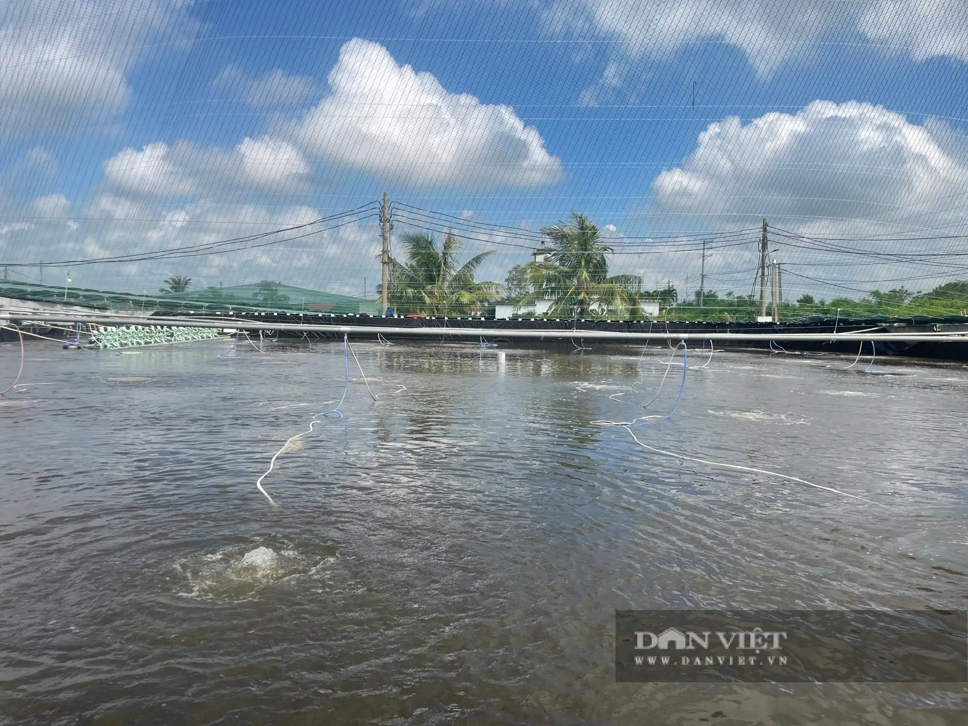 Tỷ phú nuôi tôm công nghệ cao là người đầu tiên khai phá vùng đất này ở Nam Định, lãi gần 5 tỷ/năm
