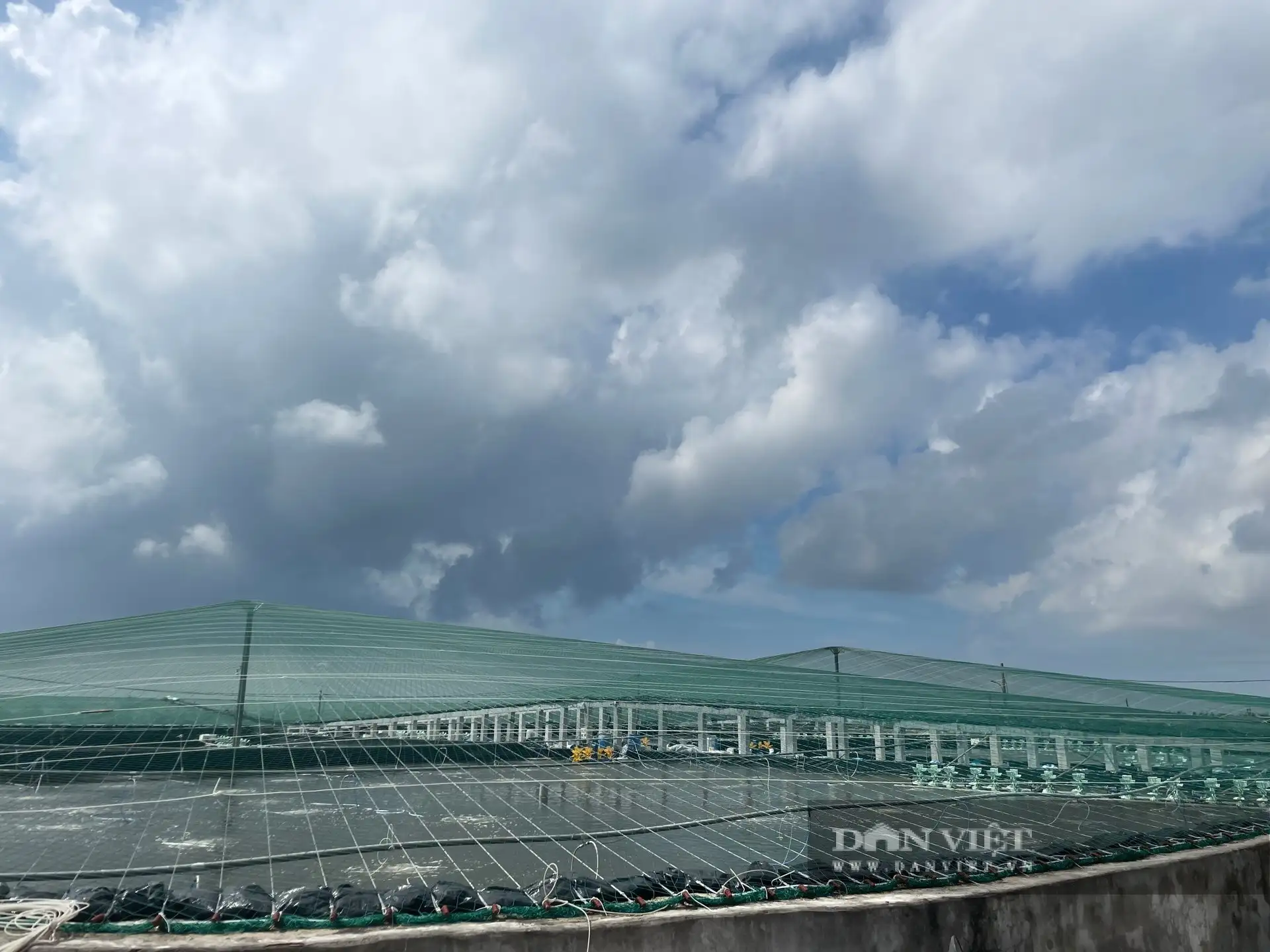 Tỷ phú nuôi tôm công nghệ cao là người đầu tiên khai phá vùng đất này ở Nam Định, lãi gần 5 tỷ/năm