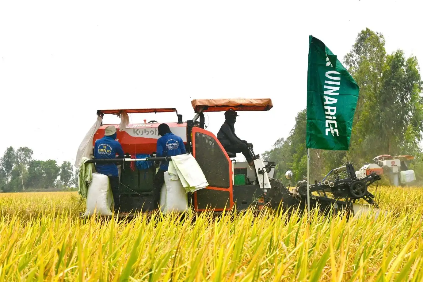 Vinarice chia sẻ 3,5 tỷ đồng giải thưởng cho nông dân sản xuất lúa chất lượng cao, phát thải thấp
