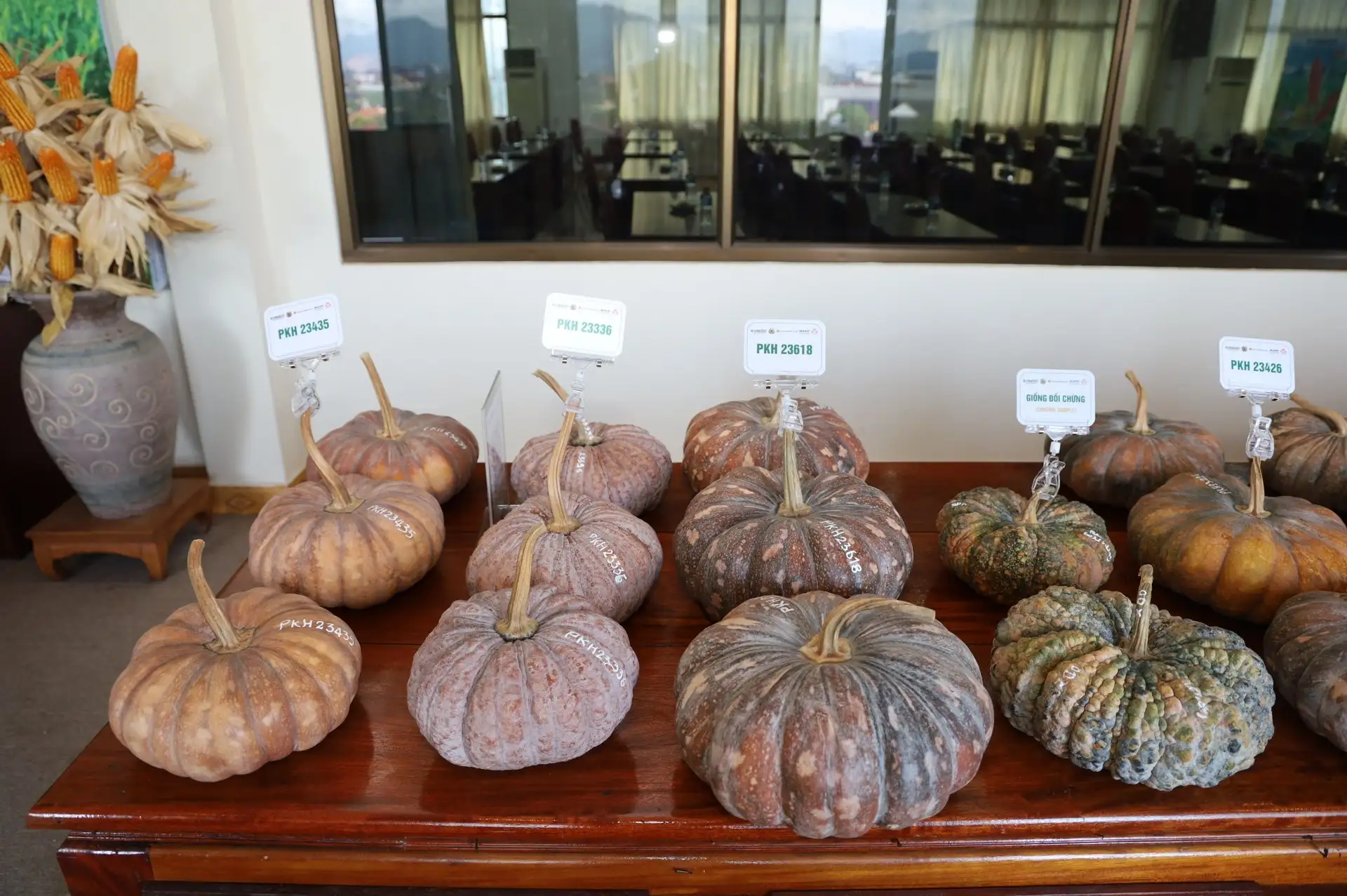 Vinaseed và WorldVeg đồng hành cùng Lào gia nhập UPOV, xây dựng hệ thống giống cây trồng theo tiêu chuẩn quốc tế
