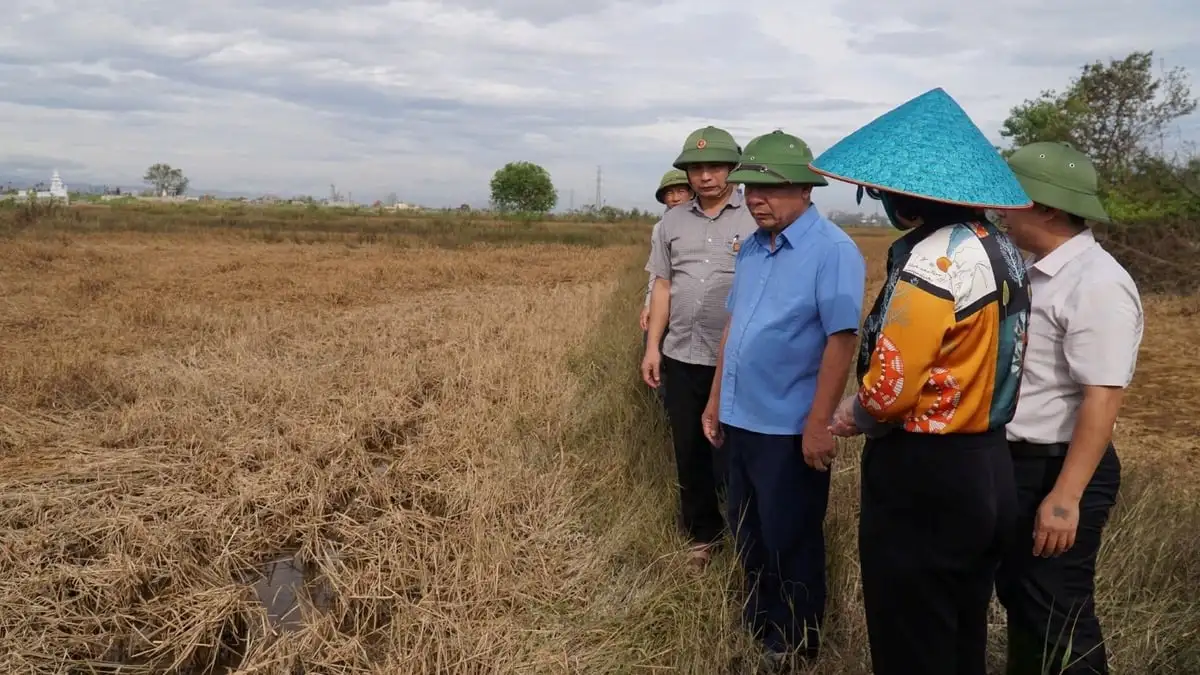 Vụ hè thu thất bát ở Nghệ An