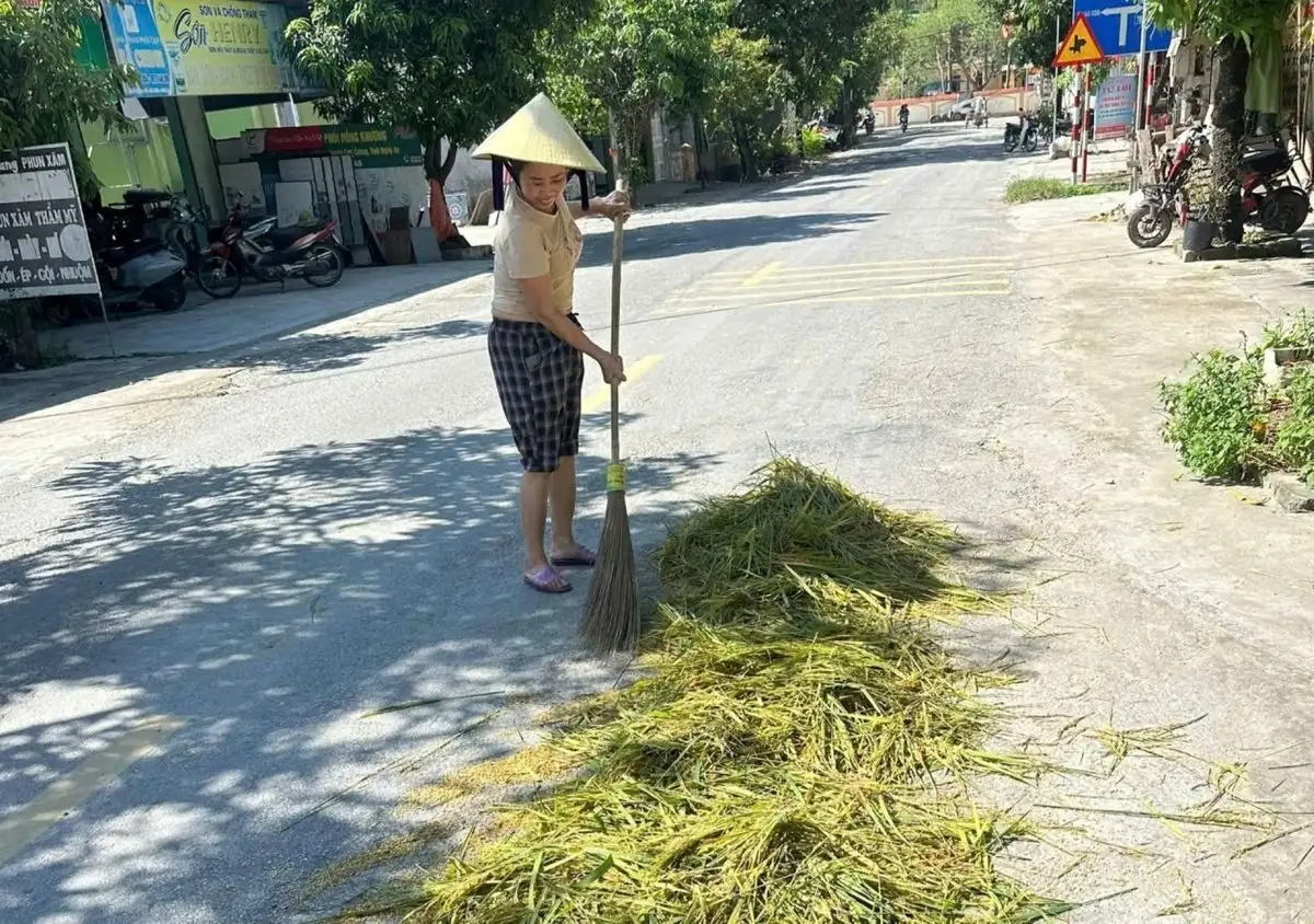 Vụ hè thu thất bát ở Nghệ An