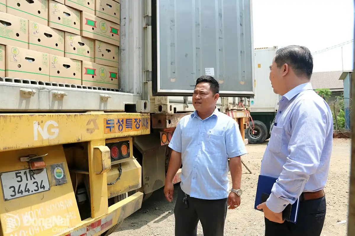 Xã có diện tích trồng chuối lớn nhất Việt Nam là một xã mới của tỉnh Đồng Nai