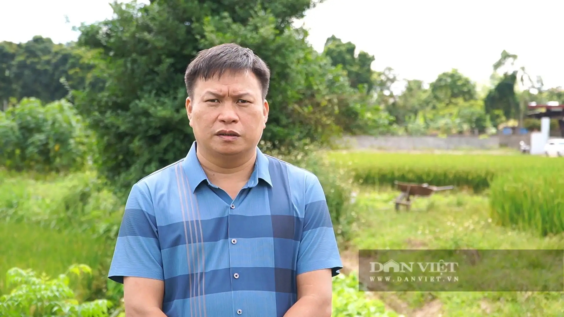 Xã Nam Hòa ở Thái Nguyên, sản xuất nông nghiệp an toàn gắn với xây dựng nông thôn mới nâng cao