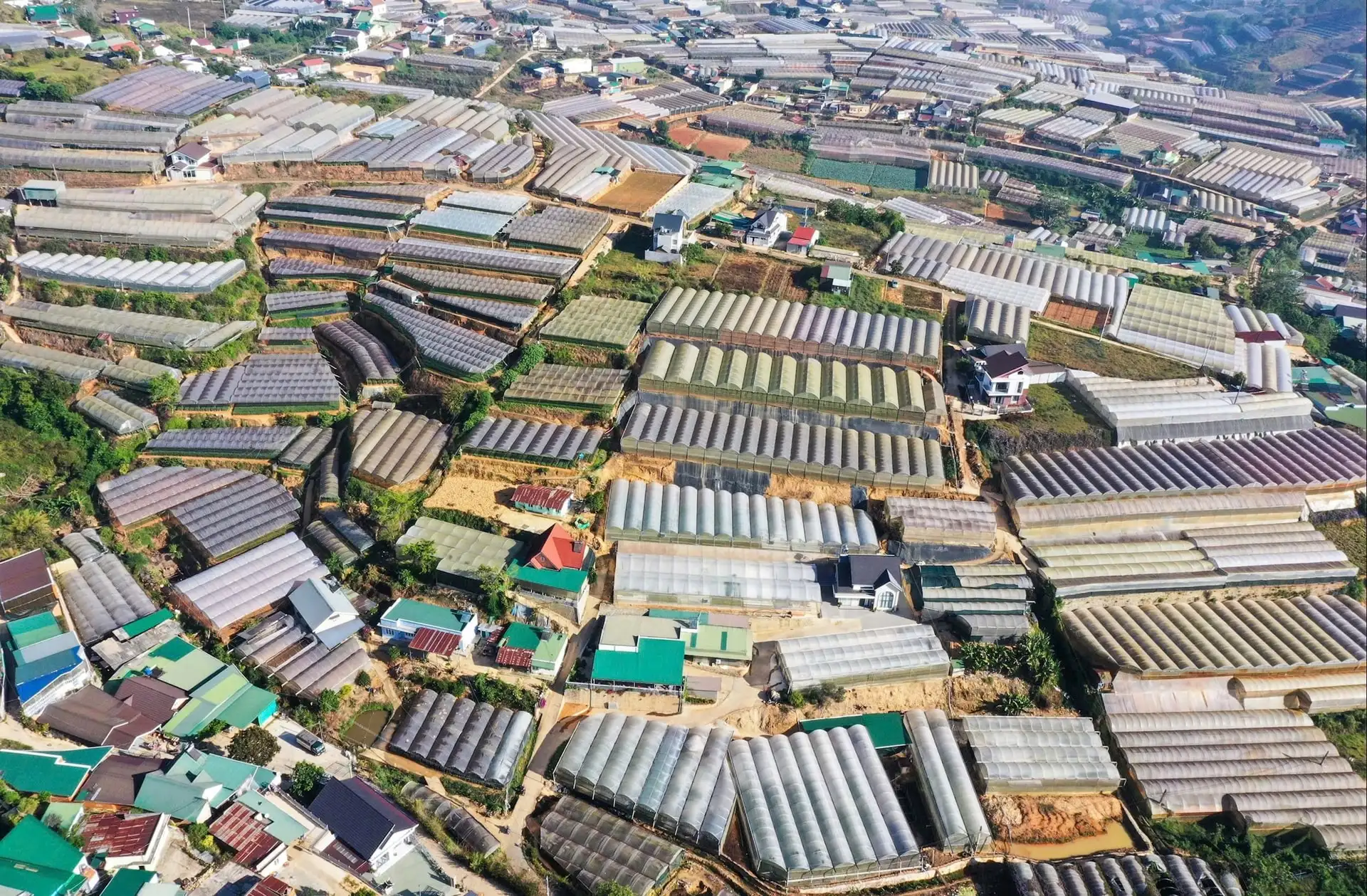 Xanh hóa” nông nghiệp:Hành trình từ tư duy đến thực tiễn