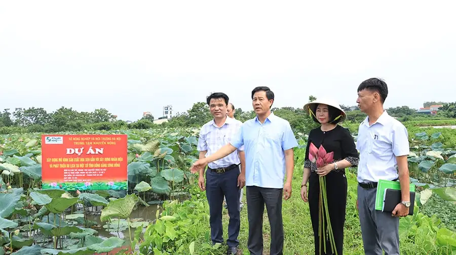Xây dựng các mô hình khuyến nông sinh thái, đa giá trị