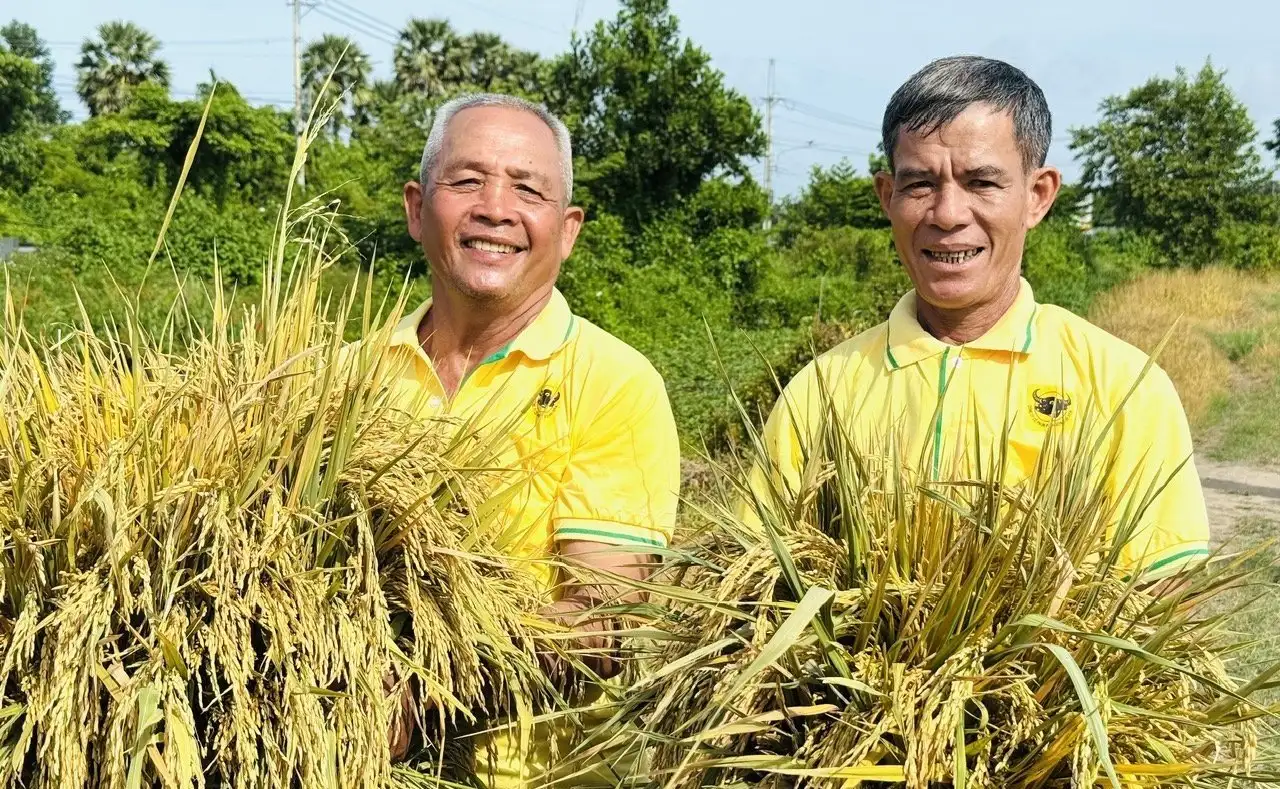 An Giang hướng tới trung tâm lúa gạo, thủy sản quy mô lớn