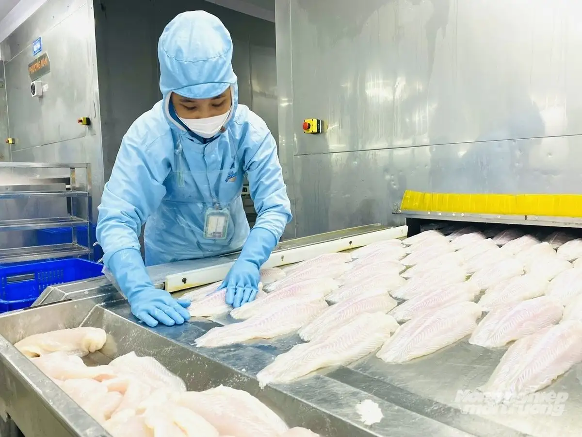 An Giang hướng tới trung tâm lúa gạo, thủy sản quy mô lớn