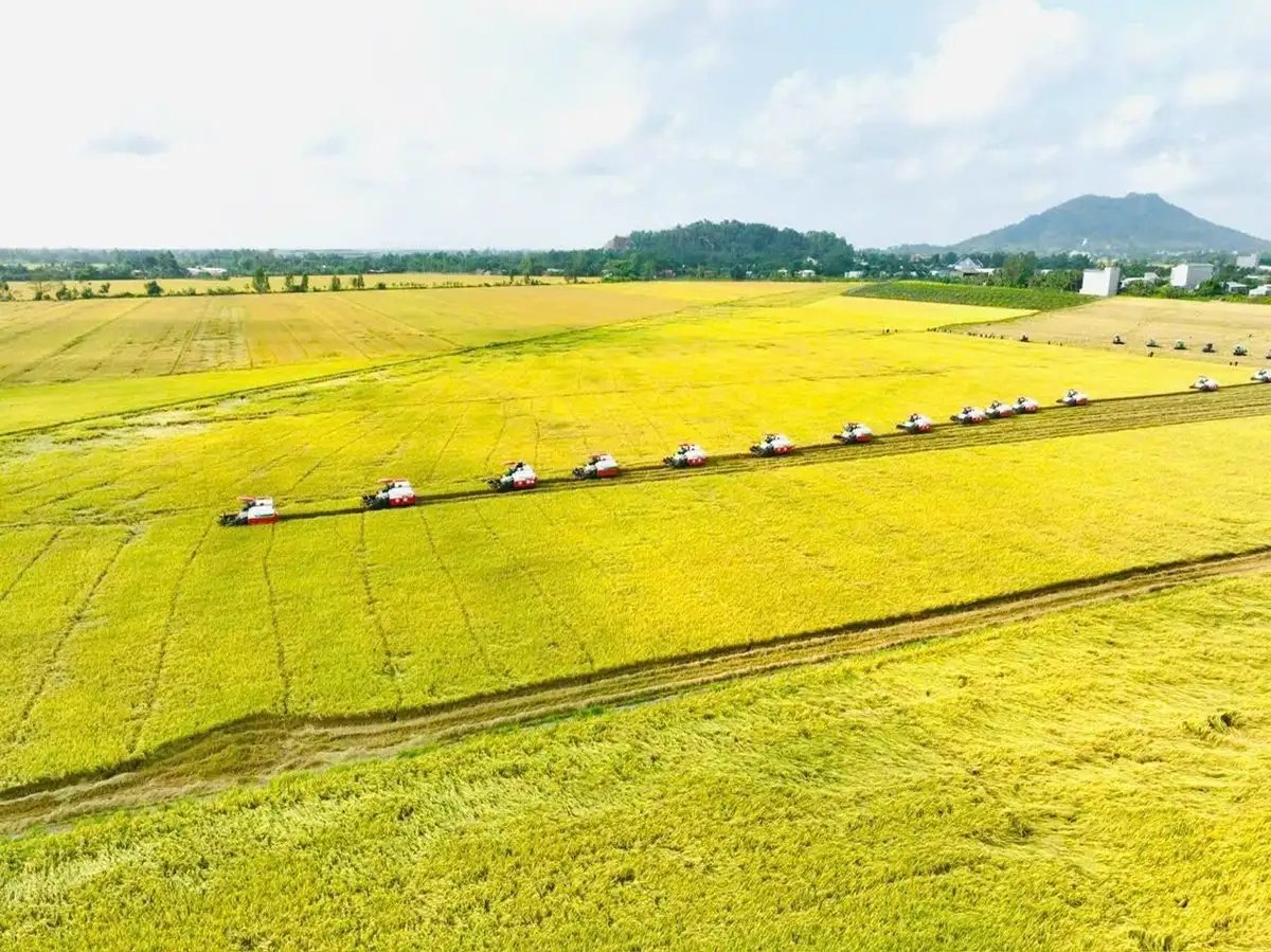 An Giang hướng tới trung tâm lúa gạo, thủy sản quy mô lớn