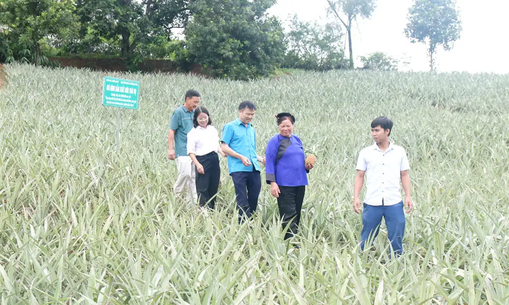 Bắc Ninh: Đến tháng 10/2025, toàn tỉnh có 668 sản phẩm OCOP