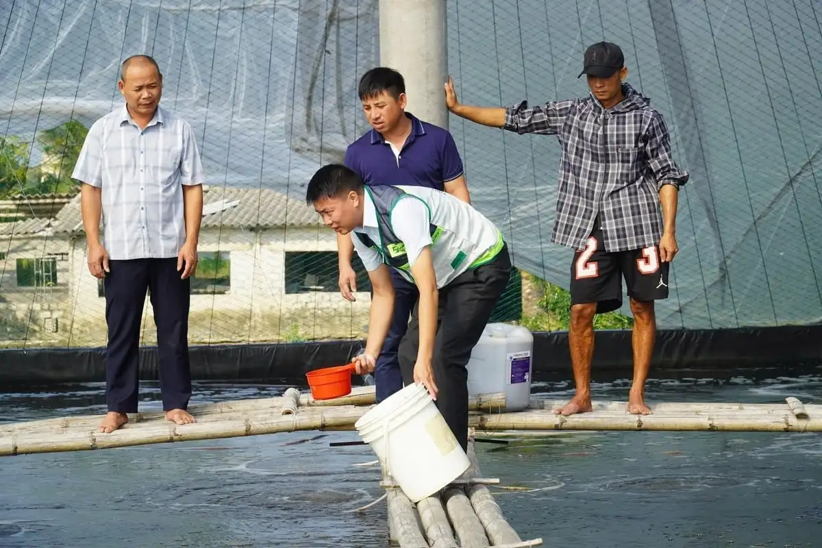 Ban hành Thông tư hướng dẫn chức năng, nhiệm vụ, quyền hạn của khuyến nông cấp tỉnh và khuyến nông xã