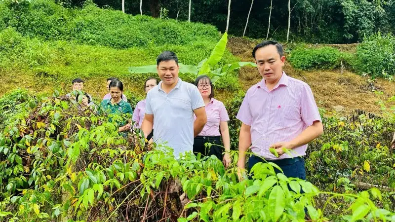 “Bệ đỡ” thoát nghèo từ vốn tín dụng chính sách