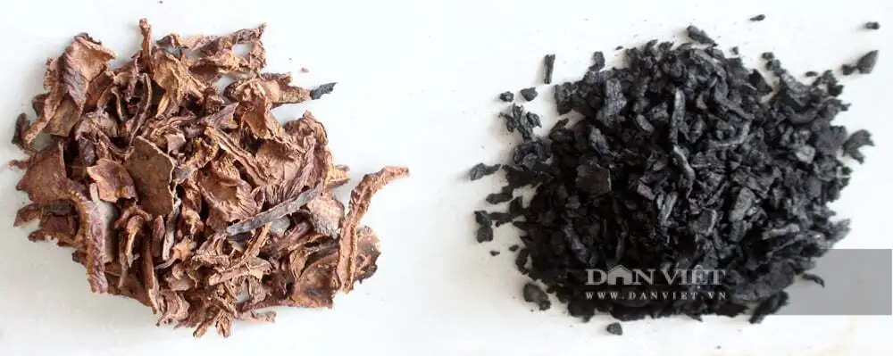 Biến vỏ ca cao thành than sinh học, nông dân Đồng Nai giữ đất màu mỡ, bán được cả tín chỉ carbon