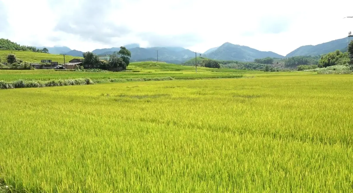 Bình Liêu hết khát nhờ hồ chứa Nà Mo