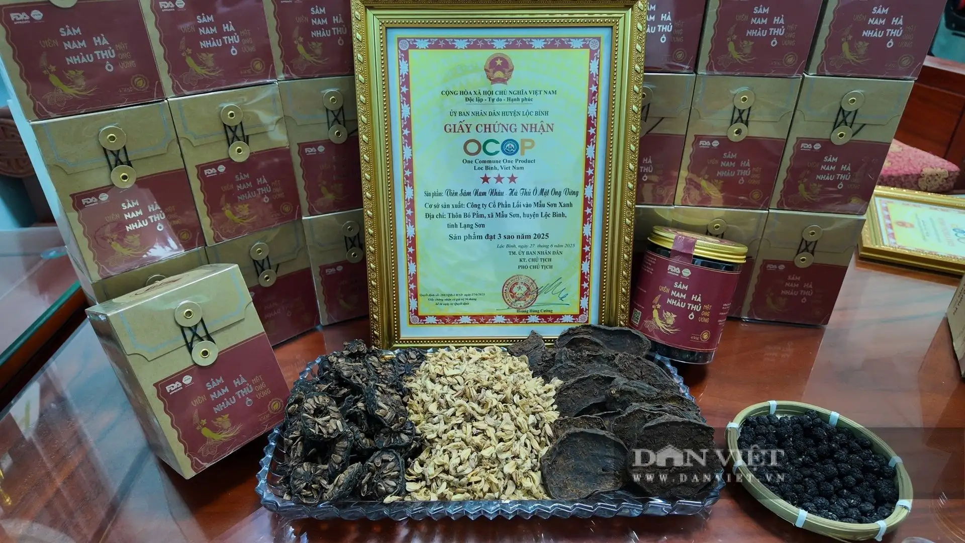 Bỏ làm ngân hàng, hotboy Lạng Sơn lên núi cao trồng cây gì tốt um, xanh rì, làm ra sản phẩm gì đạt 3 sao OCOP?