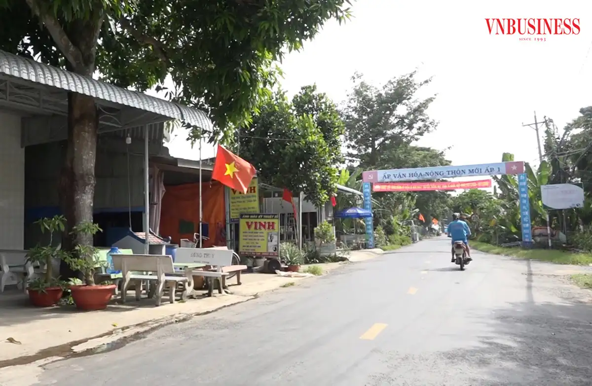 Bức tranh nông thôn mới khởi sắc trên vùng đất sen hồng