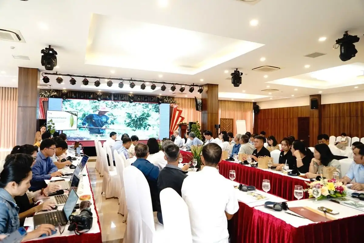 Bước tiến quan trọng hướng tới sản xuất ca cao bền vững