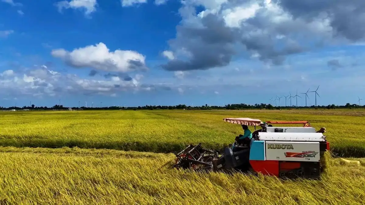 Cà Mau tháo gỡ khó khăn, thúc đẩy sản xuất tôm và lúa hữu cơ