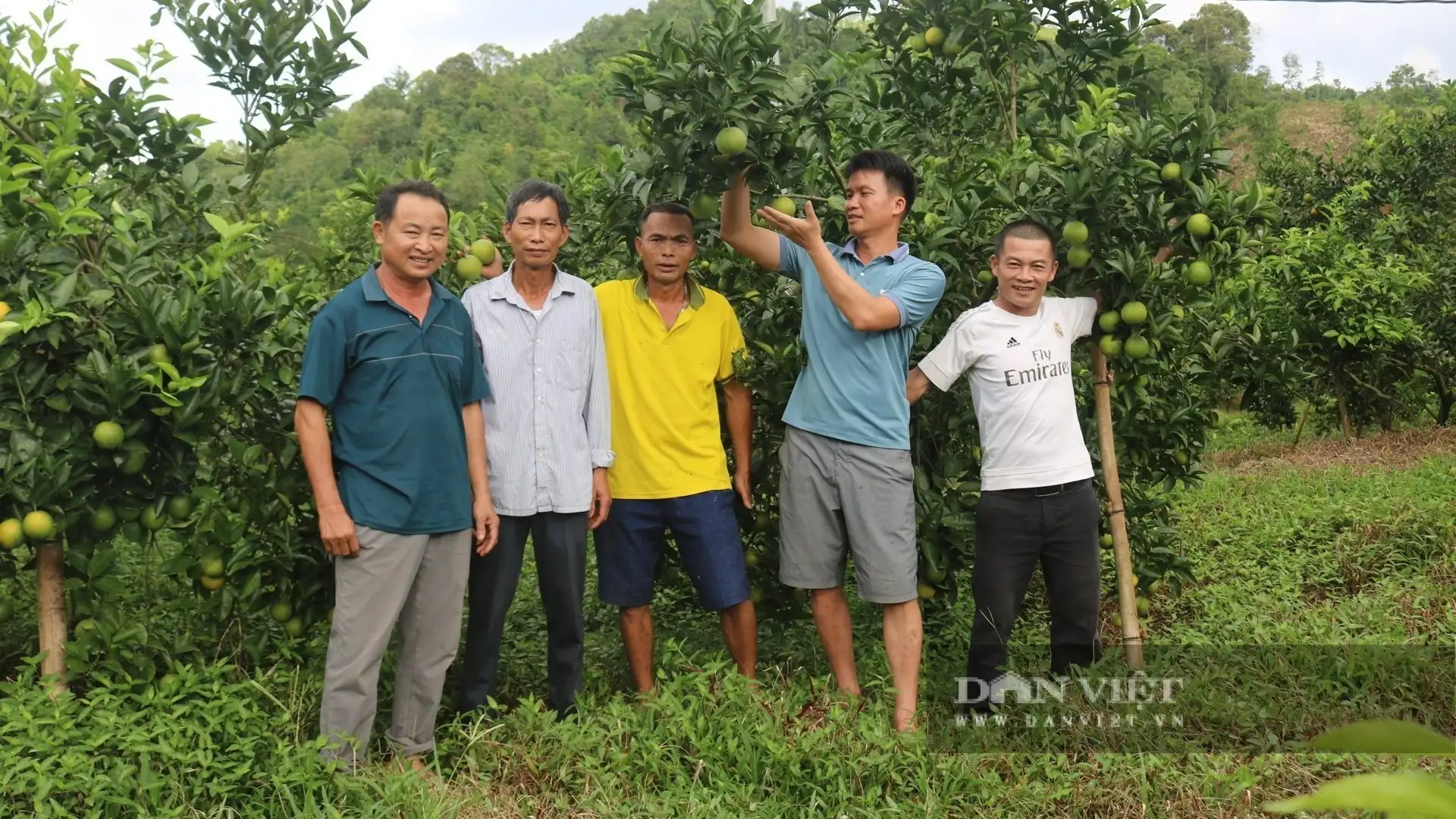 Cận cảnh vườn cây đặc sản, thác lá lên chổ nào cũng thấy quả ngon của một tỷ phú Tuyên Quang từng không biết chữ