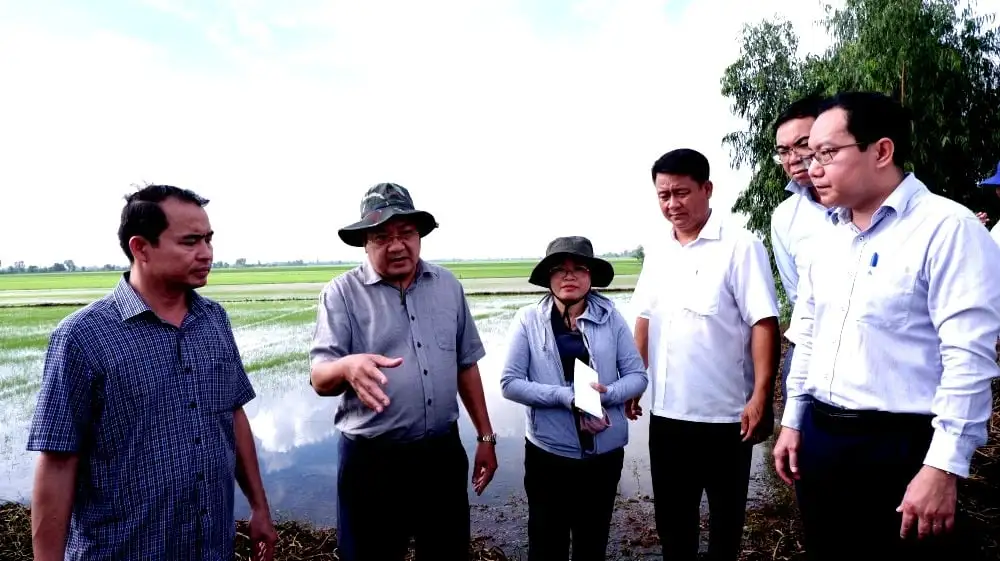 Cảnh dân, quân gặt lúa chạy lũ tràn đồng ở vùng Đồng Tháp Mười, địa phận tỉnh Long An trước sáp nhập Tây Ninh