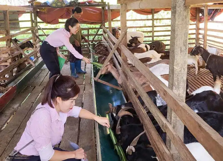 Cao Bằng tập trung chỉ đạo thực hiện hiệu quả Chương trình giảm nghèo