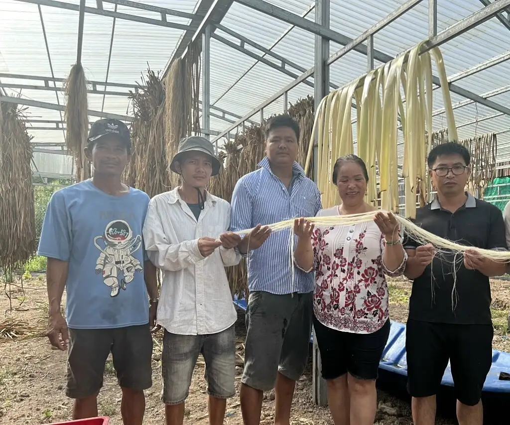 Cầu nối kiến tạo giúp HTX vững vàng trong cuộc chiến giảm nghèo