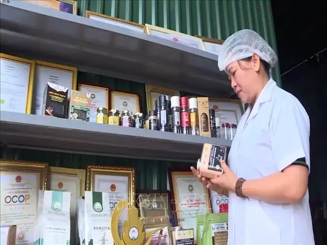 &#8220;Cây vàng đen&#8221; Việt Nam, trên con đường dẫn đến chuỗi giá trị tỷ đô đang gặp nút thắt gì?