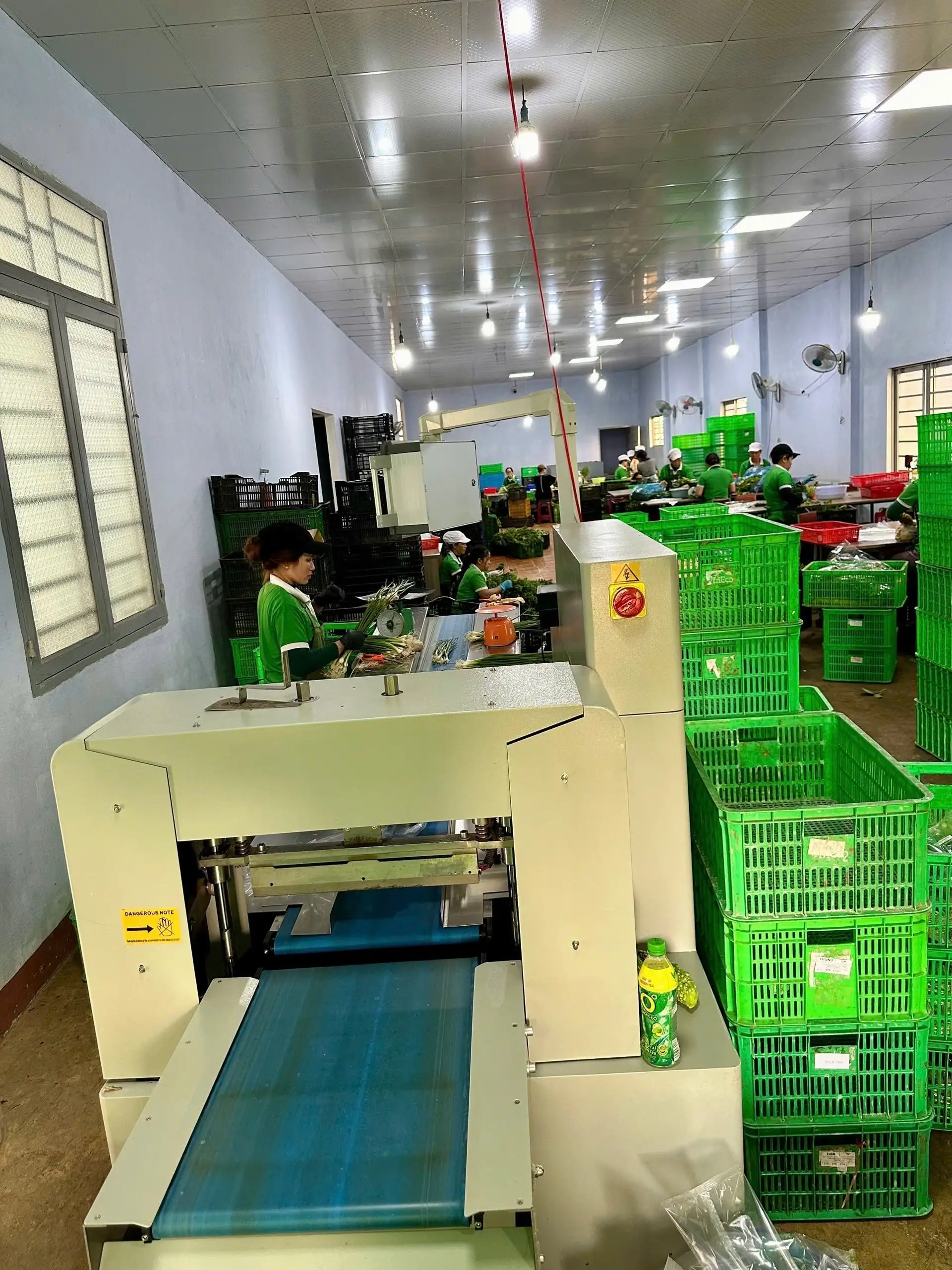 Chàng trai Gia Lai bỏ phố hoa lệ về quê trồng rau kiểu gì mà doanh thu 20 tỷ/năm , là “Nông dân Việt Nam xuất sắc”?